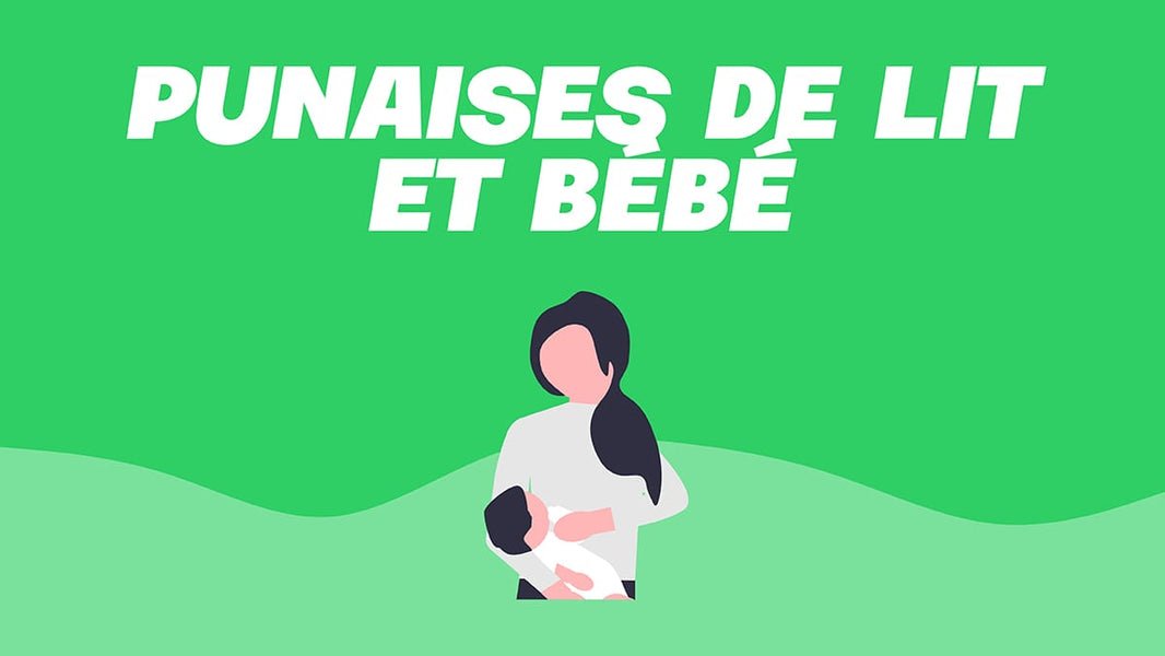bébé punaise de lit