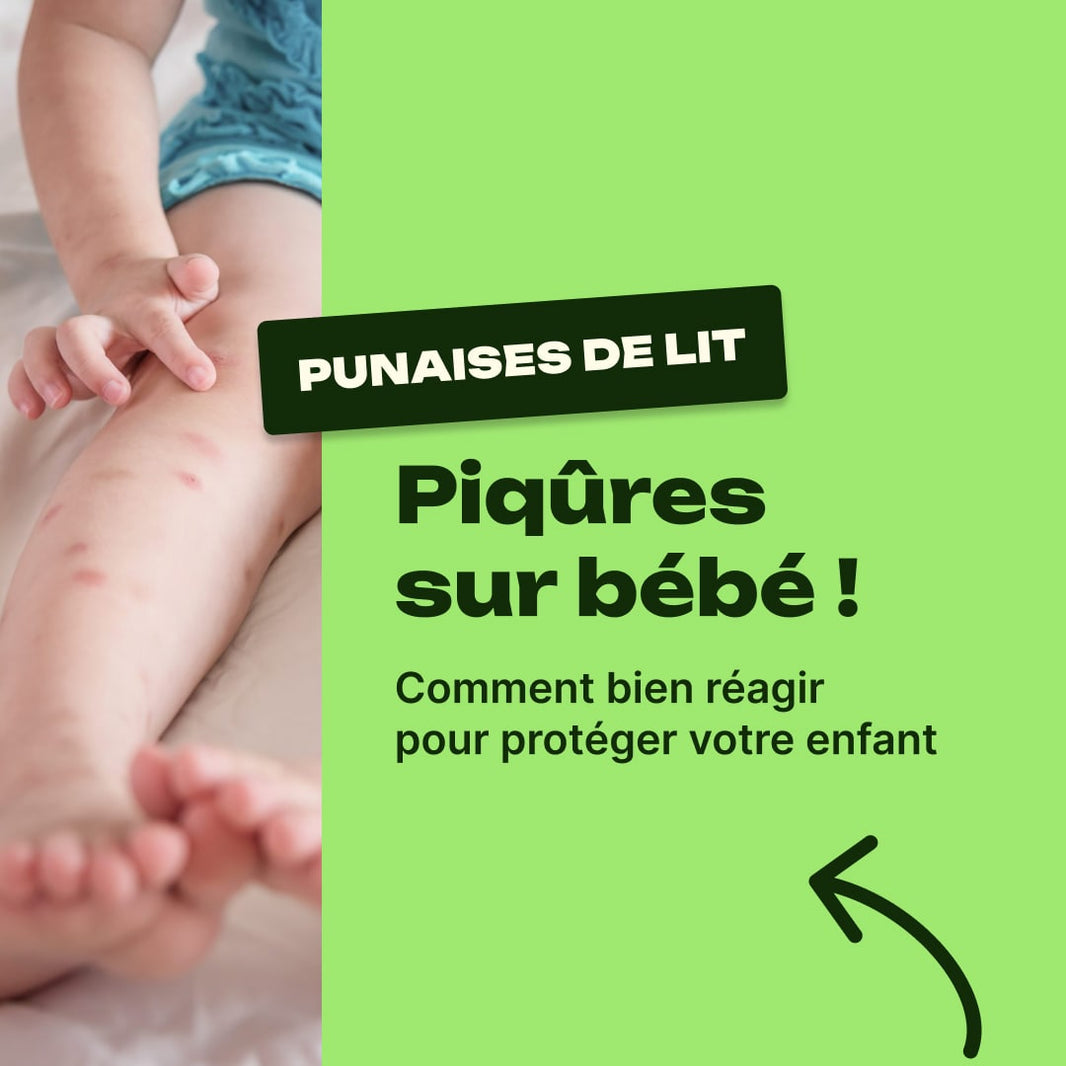 bébé punaise de lit