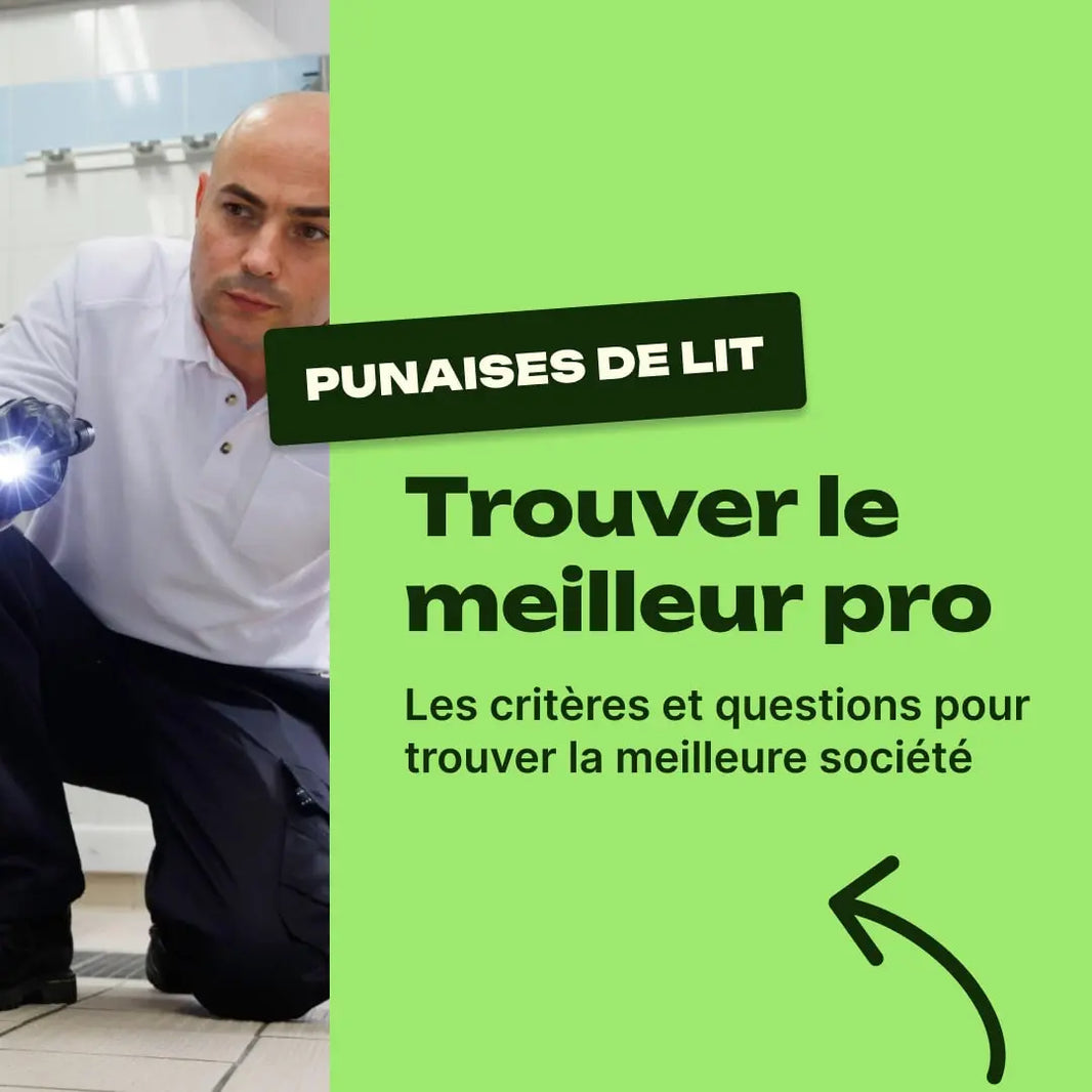 choisir exterminateur punaise de lit