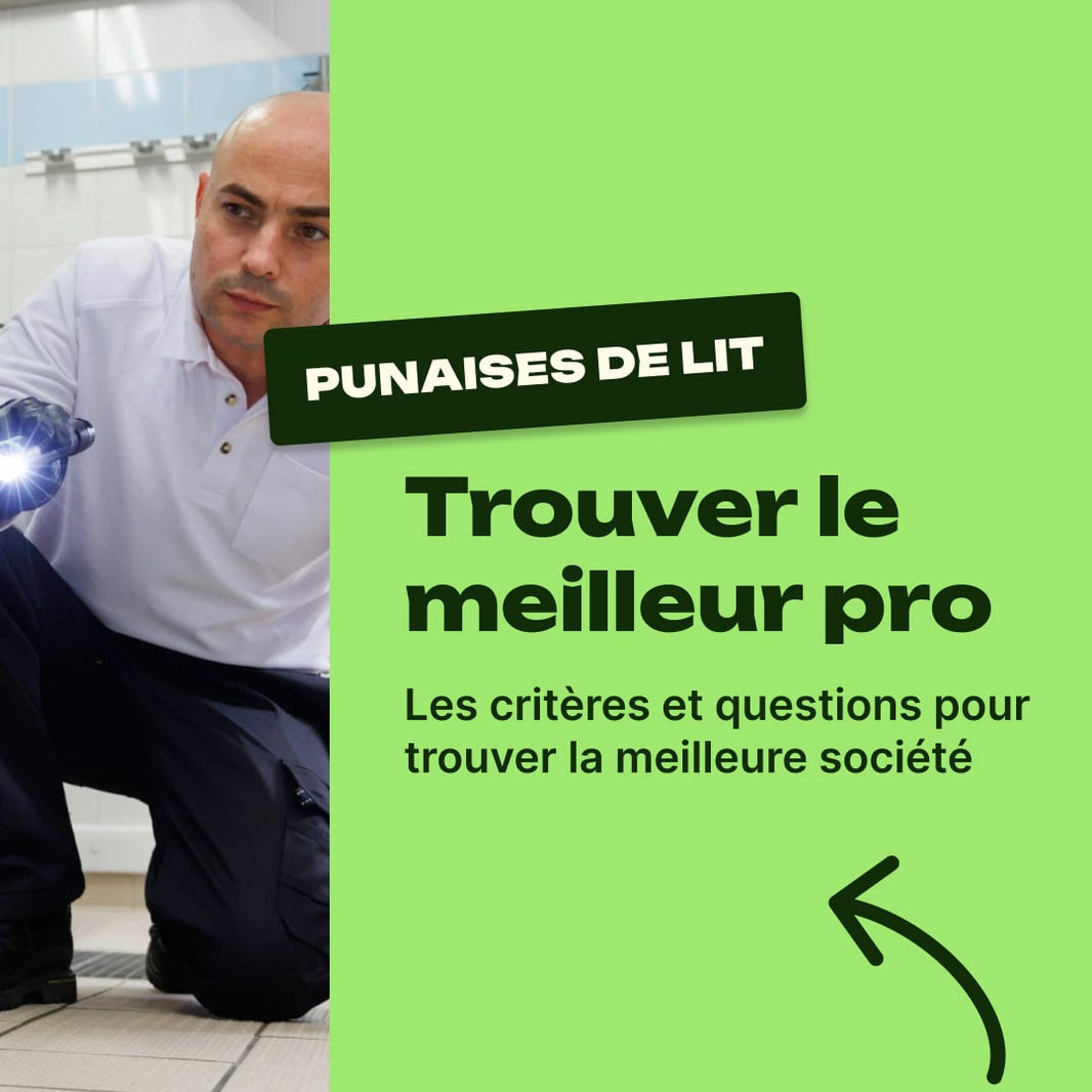 choisir exterminateur punaise de lit