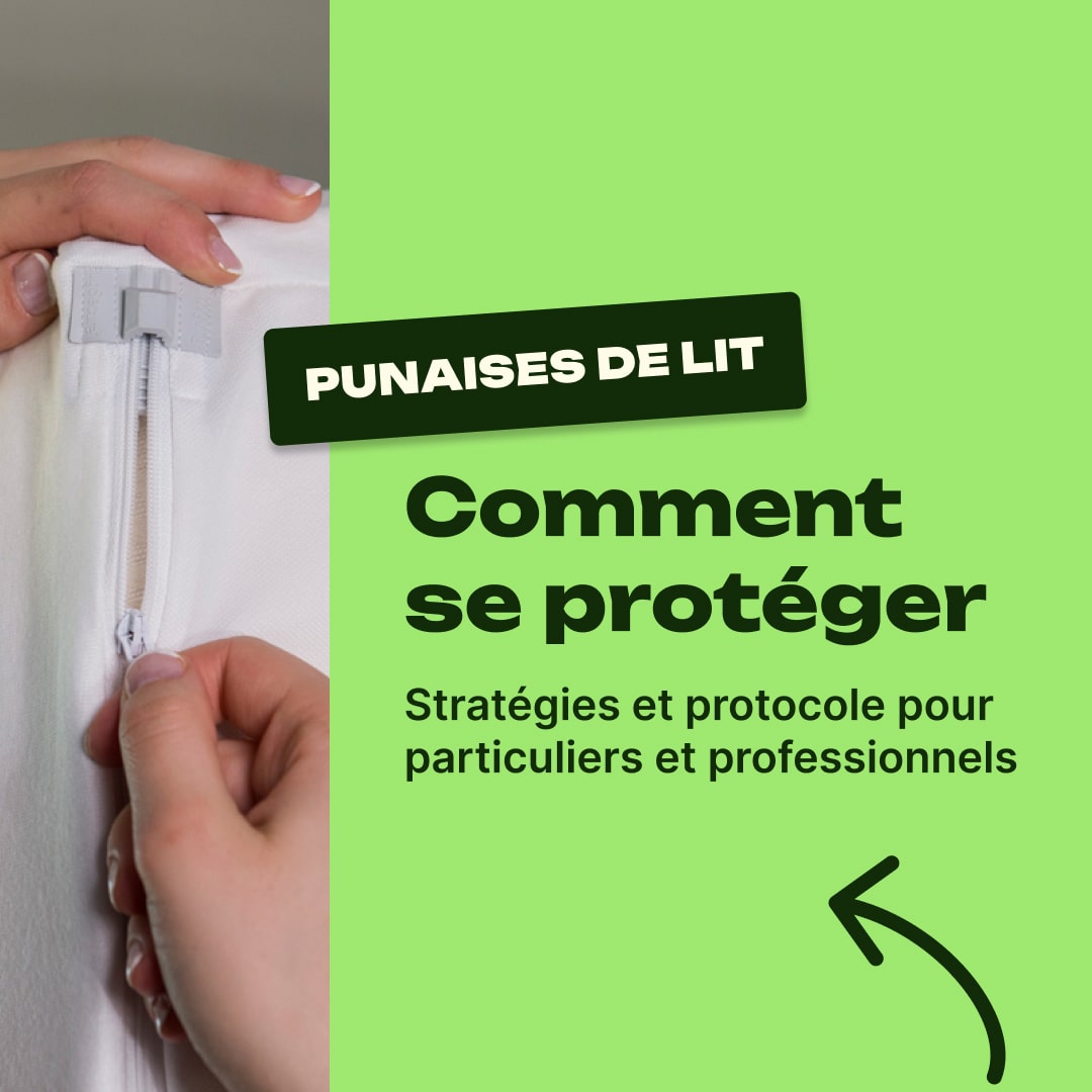 comment éviter les punaises de lit
