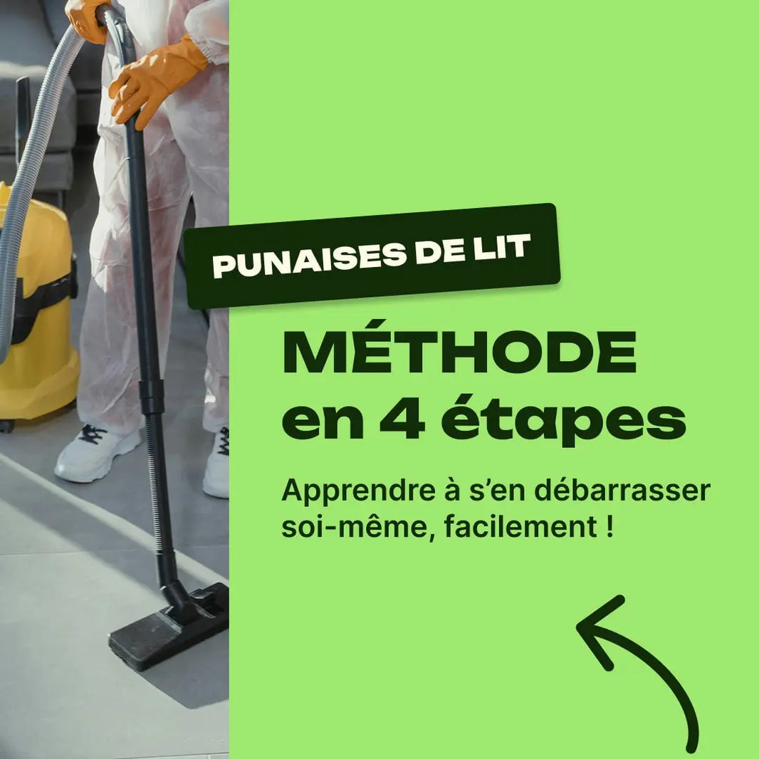 comment se débarrasser des punaises de lit