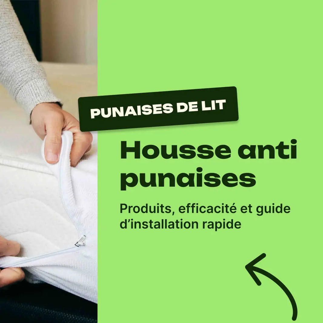 housse anti punaise de lit avis