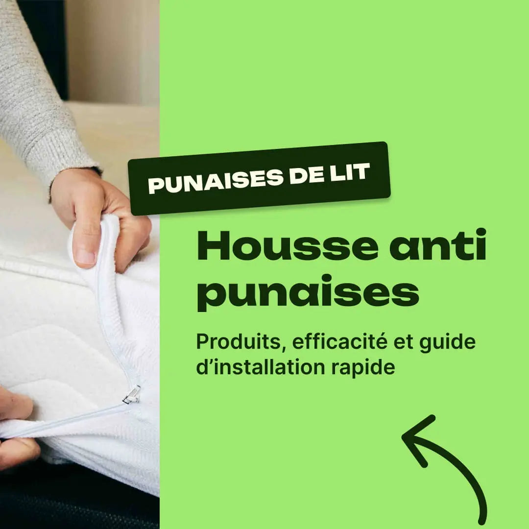 housse anti punaise de lit avis
