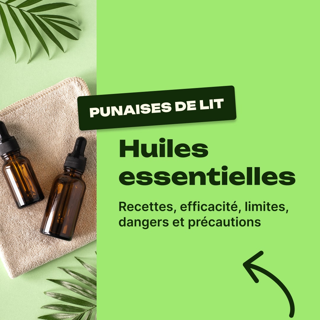 huile essentielle punaise de lit