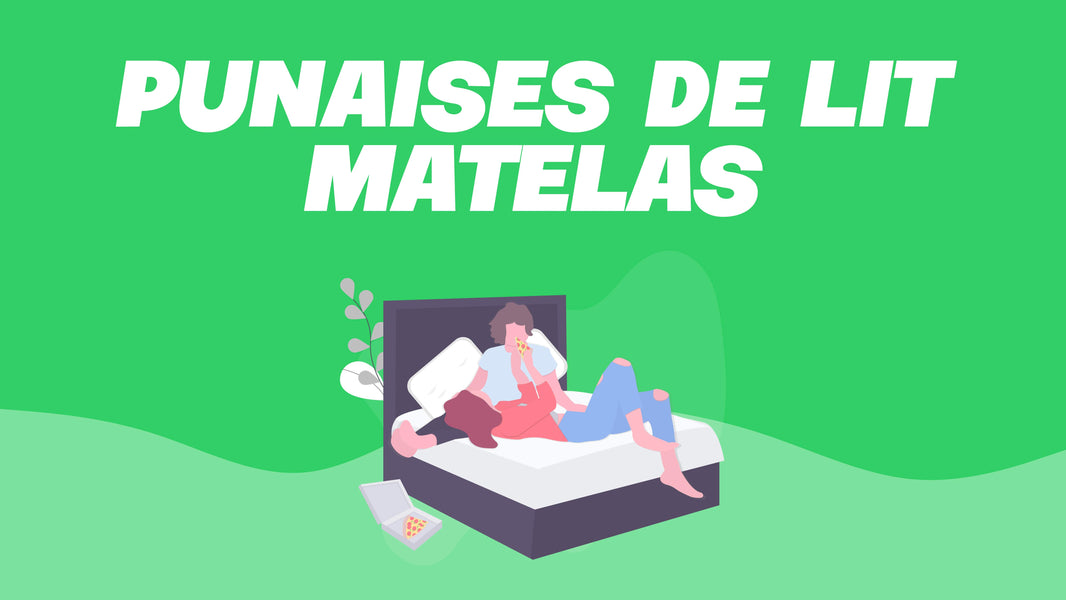 matelas punaise de lit
