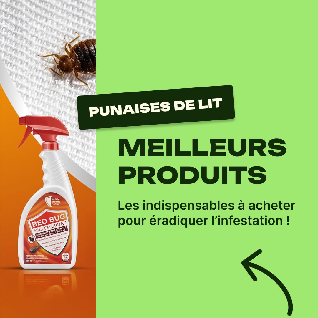 meilleur produit punaise de lit