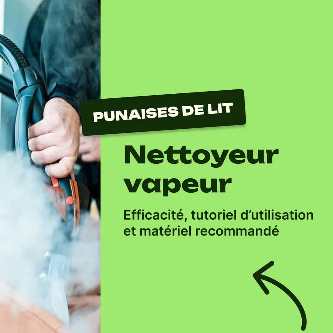 nettoyeur vapeur punaise de lit avis