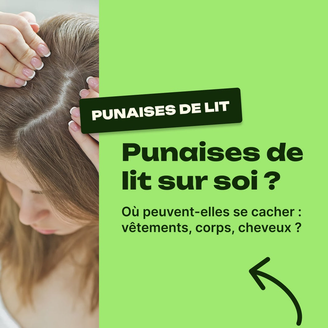 peut-on transporter des punaises de lit sur soi