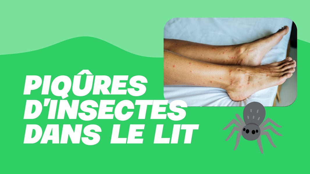 piqure d'insecte dans le lit