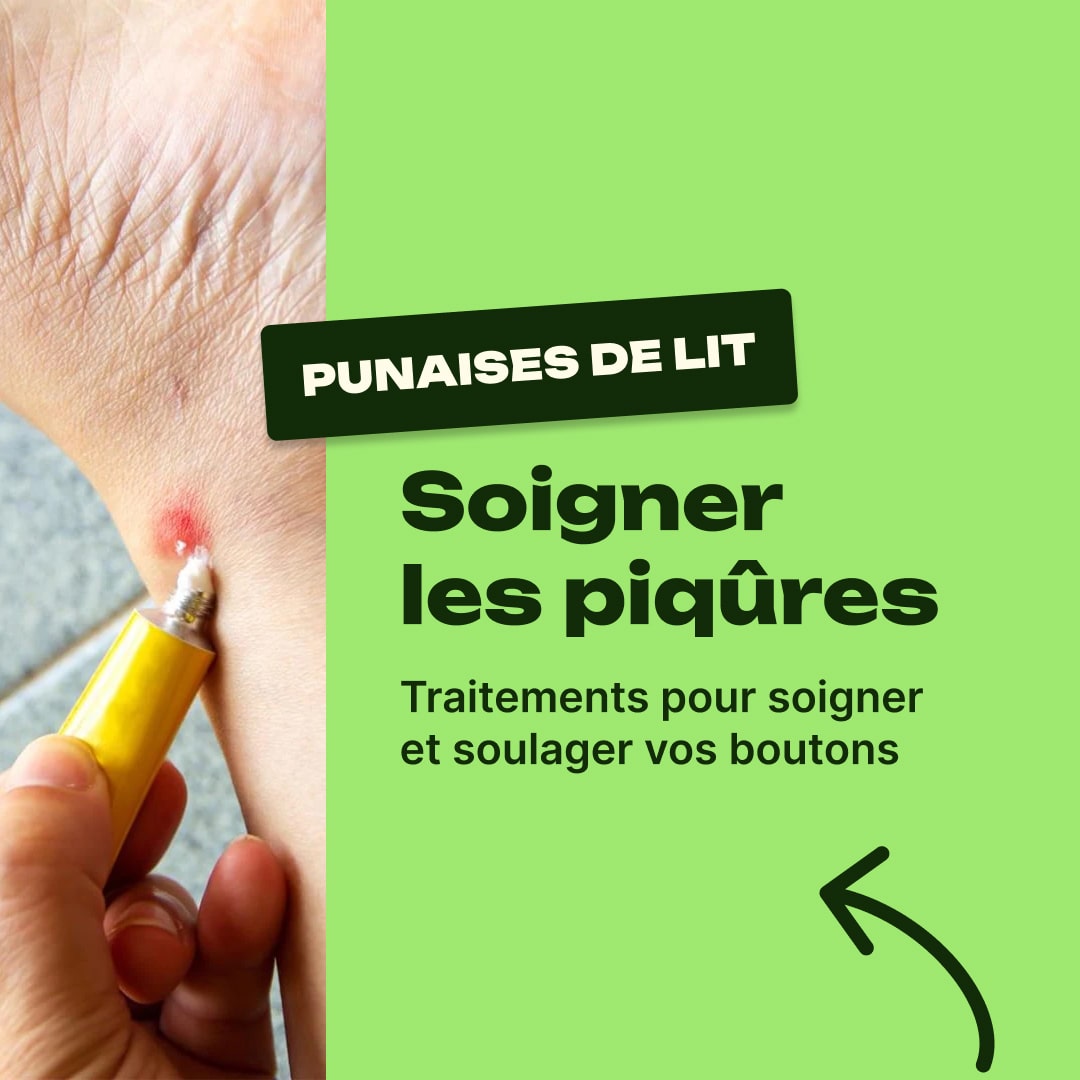 piqure de punaise de lit traitement