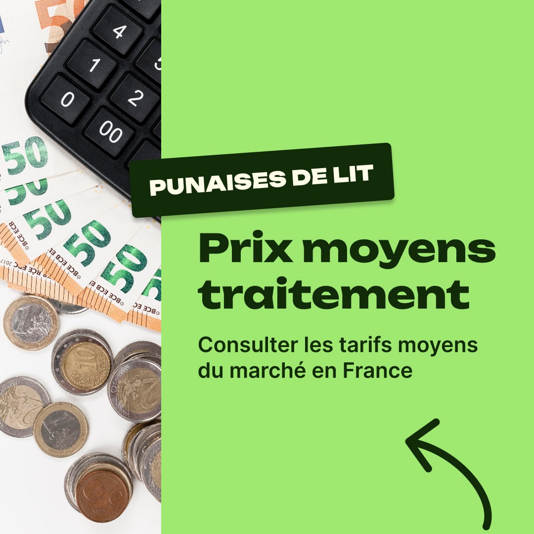 prix punaise de lit