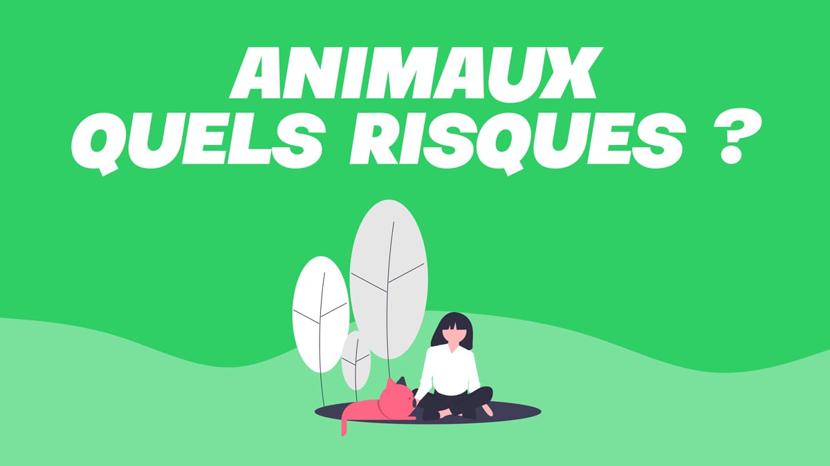 punaise de lit animaux