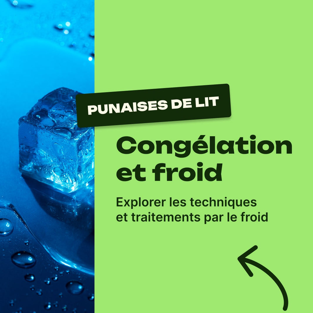 punaise de lit congélateur