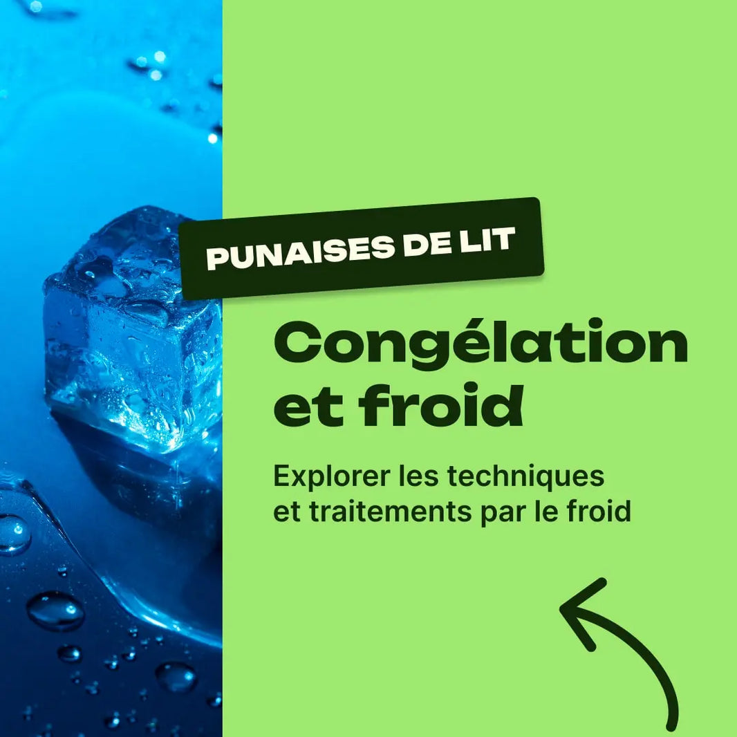 punaise de lit congélateur