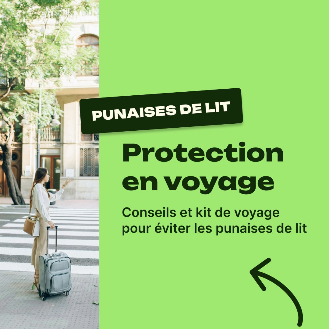 punaise de lit hotel