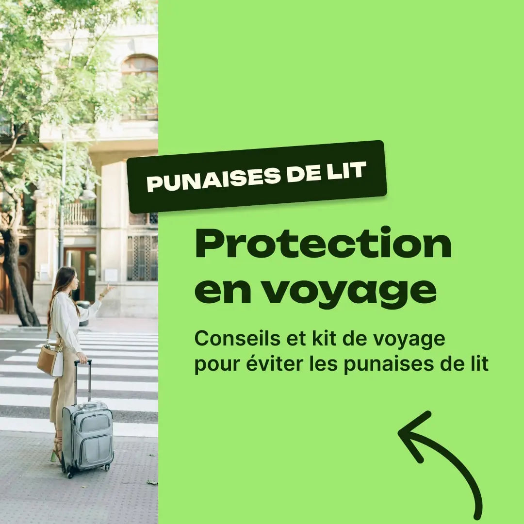 punaise de lit hotel