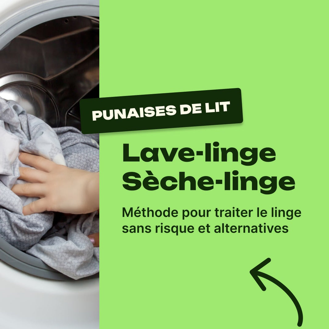 punaise de lit machine à laver