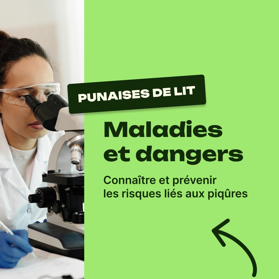 punaise de lit maladie