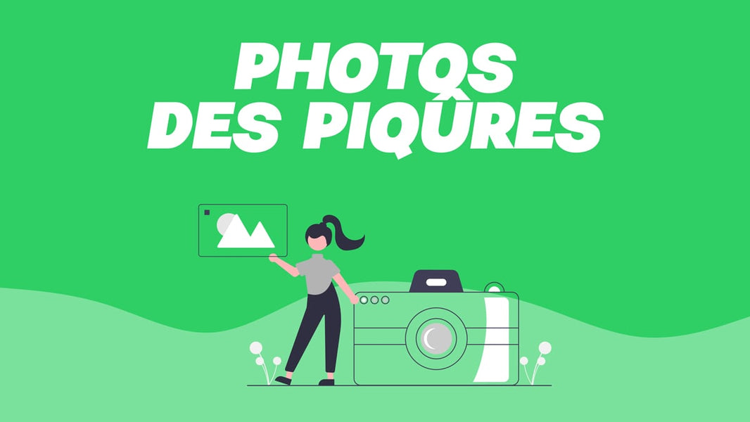 punaise de lit piqûre photo