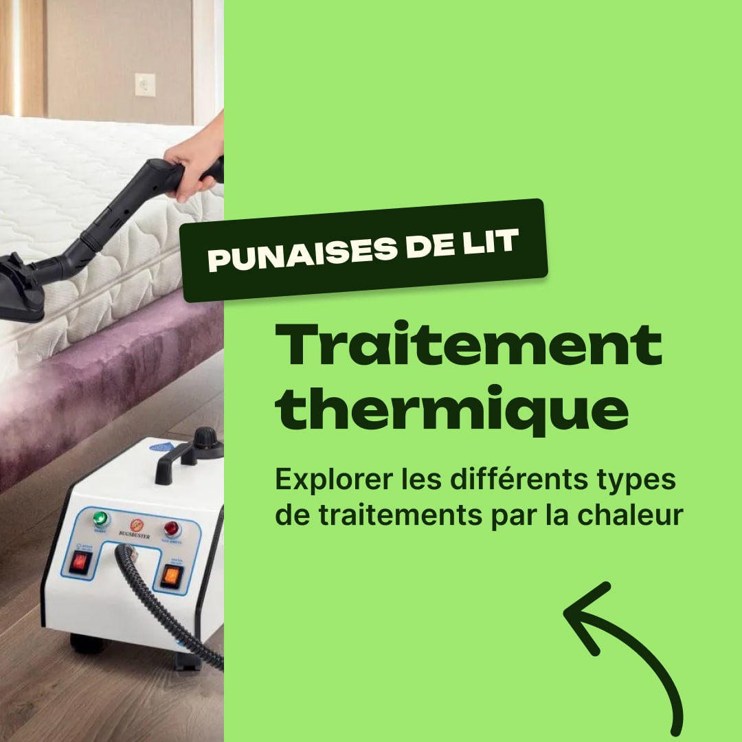 punaise de lit traitement thermique
