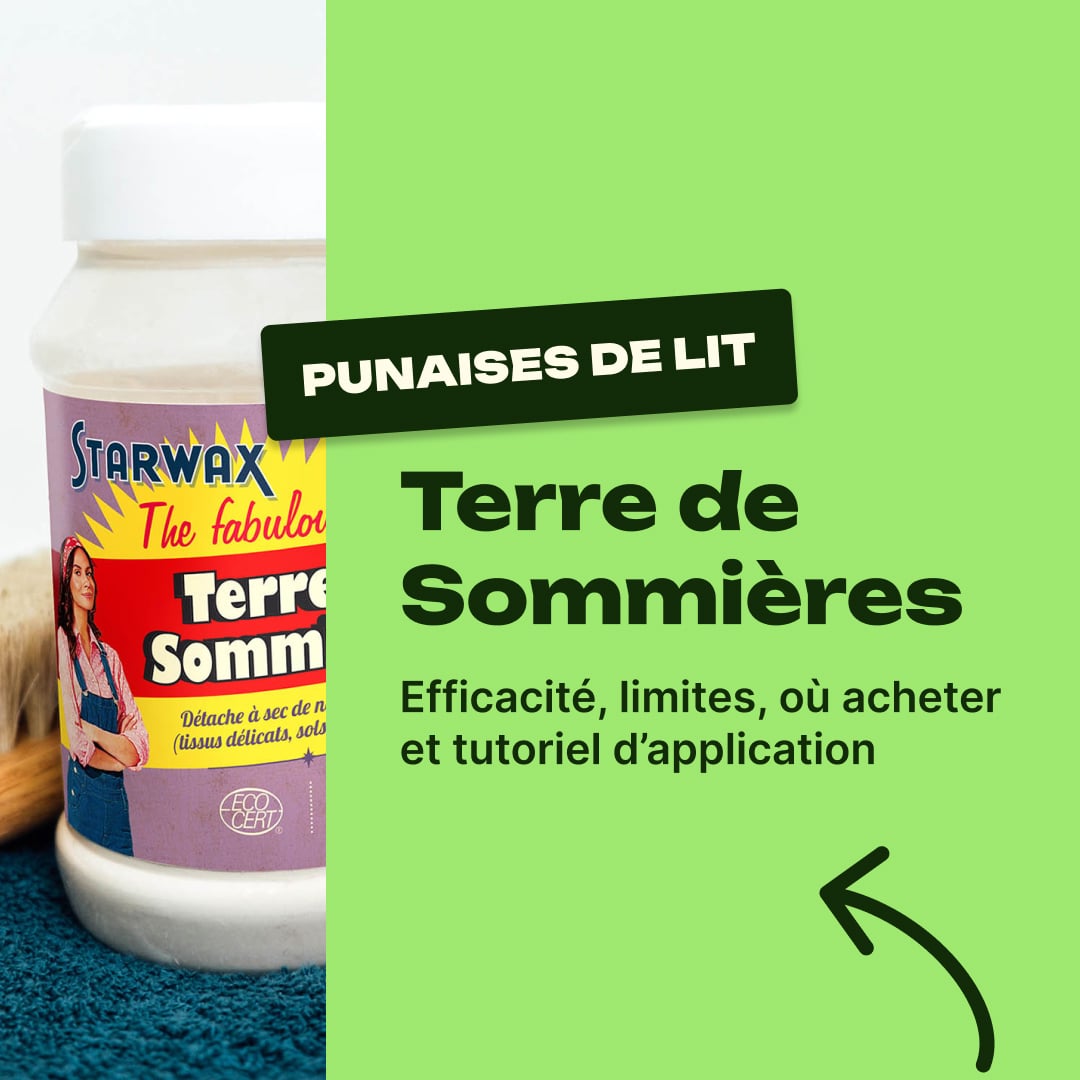 terre de sommieres punaises de lit