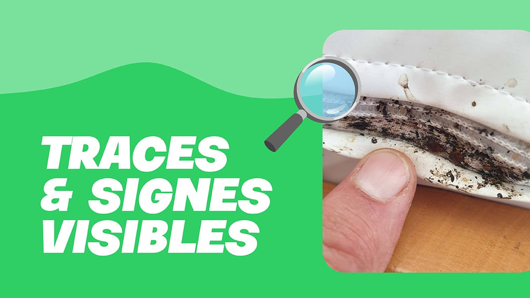 trace de punaise de lit