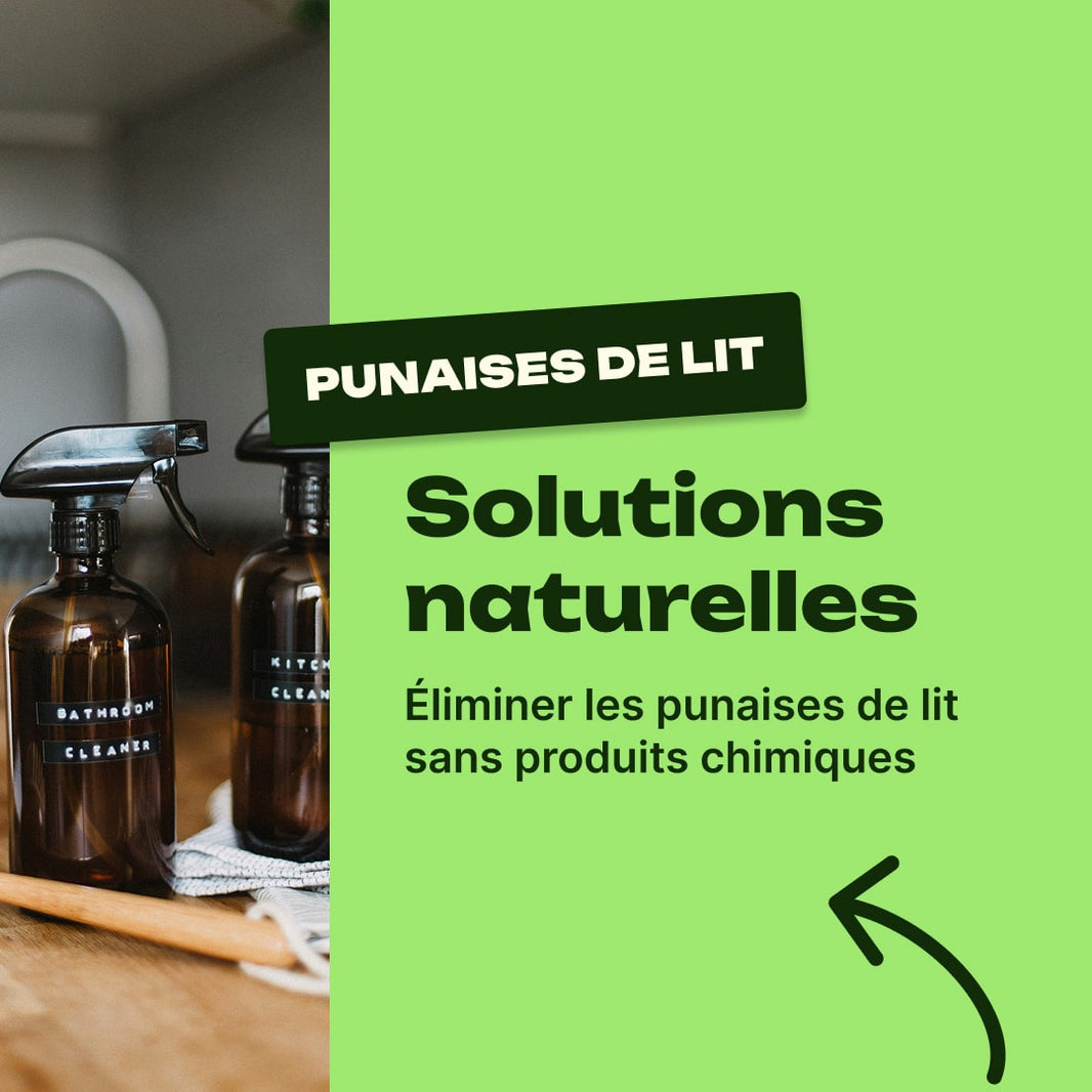 truc de grand-mère contre les punaises de lit