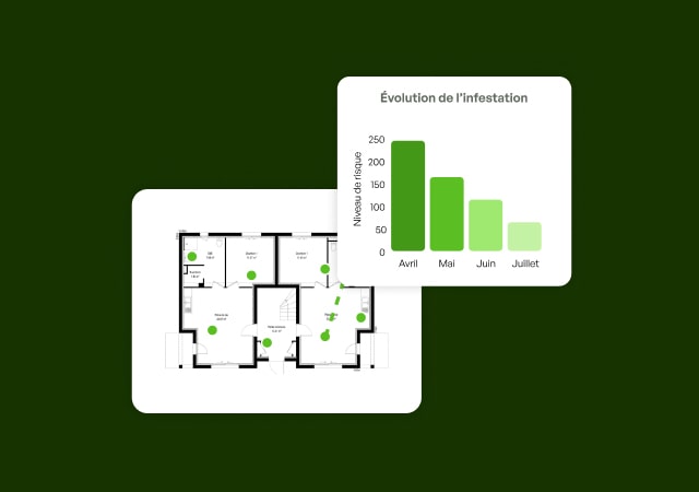punaise de lit diagnostic