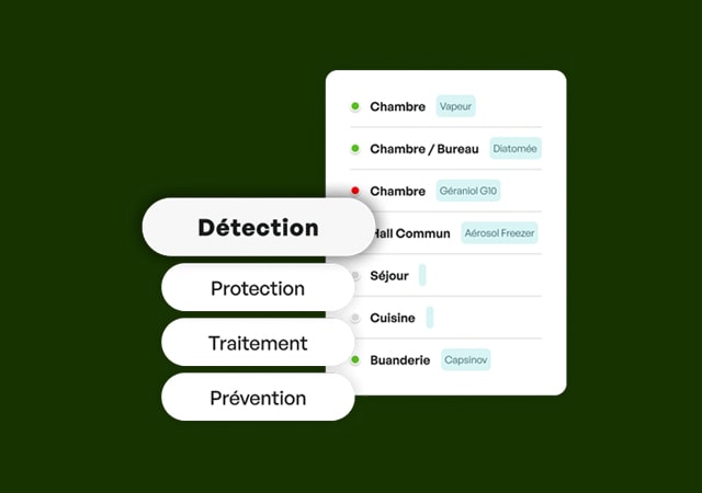 punaise de lit traitement