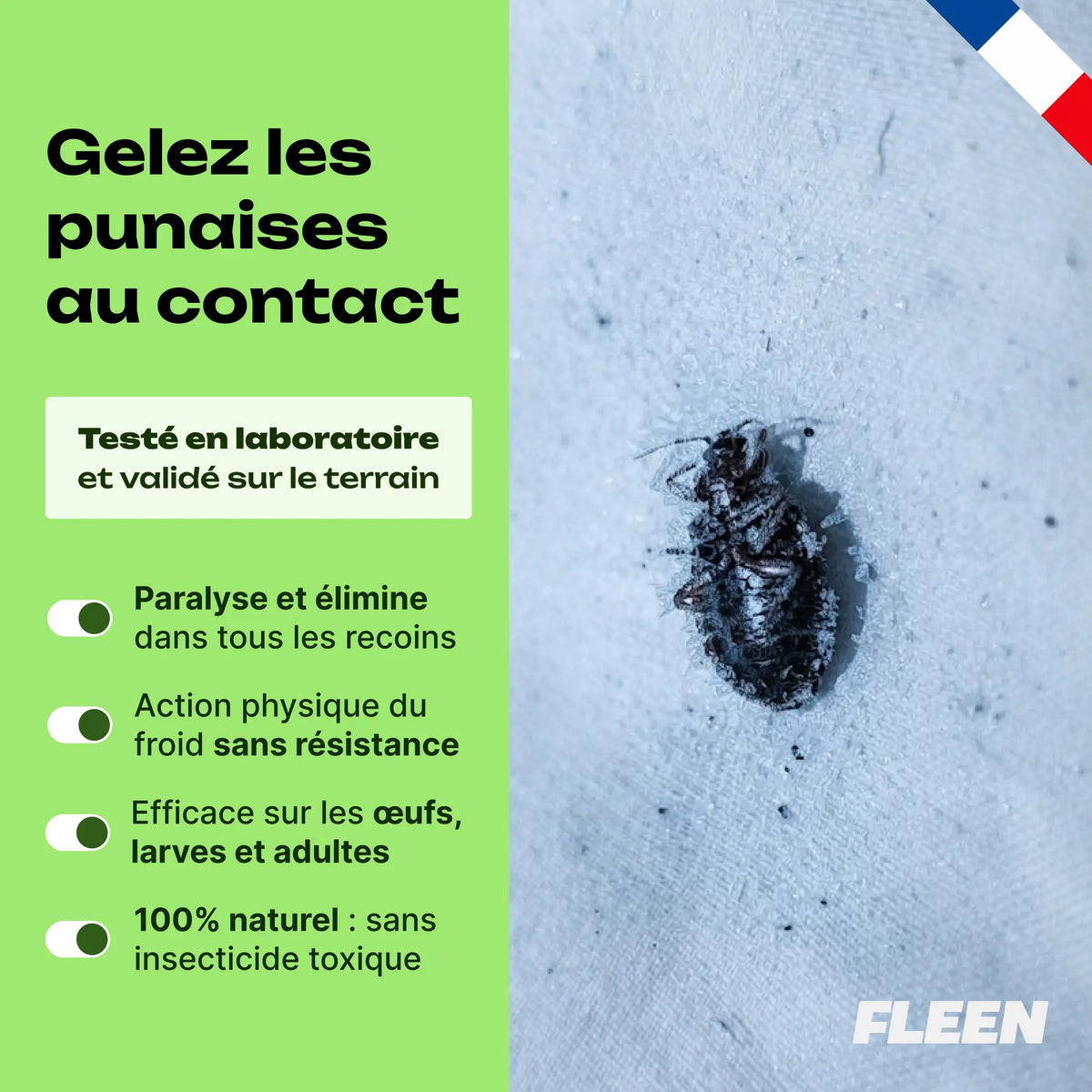 bombe de froid cryogénique punaise de lit avantages