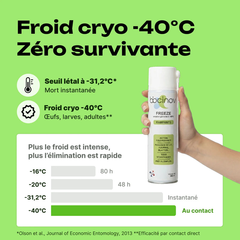 bombe de froid cryogénique punaise de lit efficace