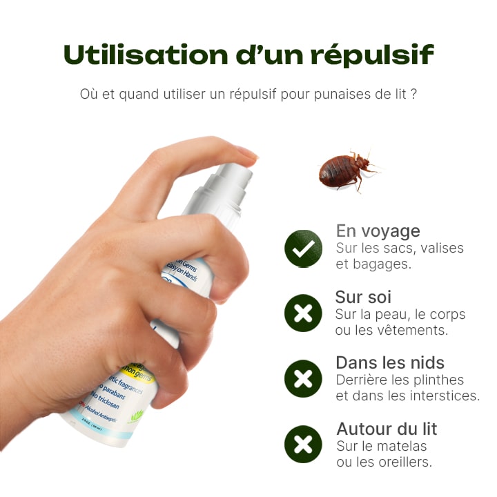 comment repousser les punaises de lit