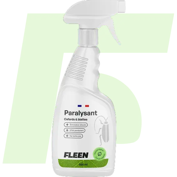 meilleur spray insecticide punaise de lit