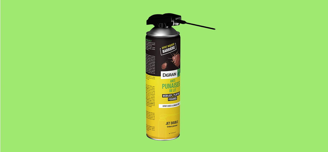 digrain punaise de lit