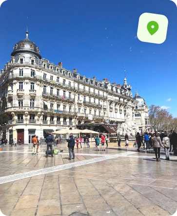 entreprise désinfection punaise de lit montpellier