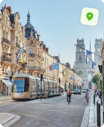 entreprise désinfection punaise de lit orléans