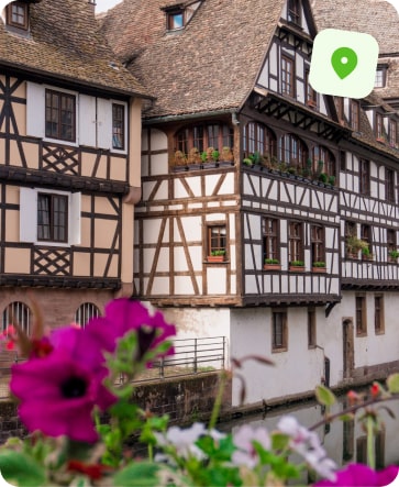 entreprise désinfection punaise de lit strasbourg