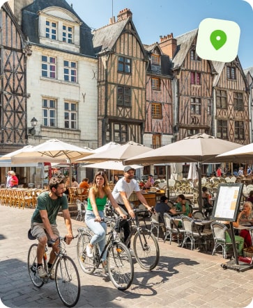 entreprise désinfection punaise de lit tours
