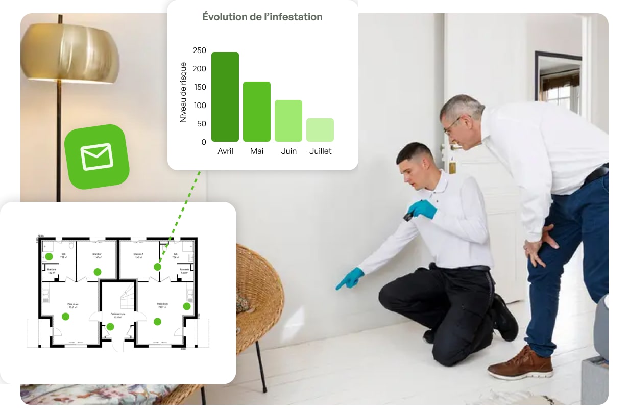 entreprise punaise de lit mulhouse