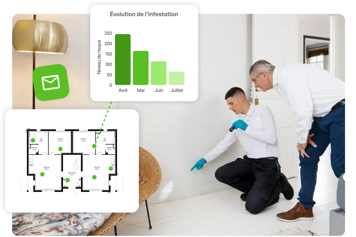 entreprise punaise de lit villeurbanne