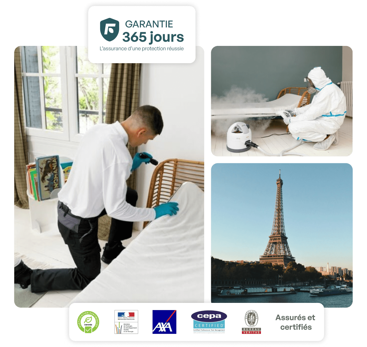 entreprise punaise de lit