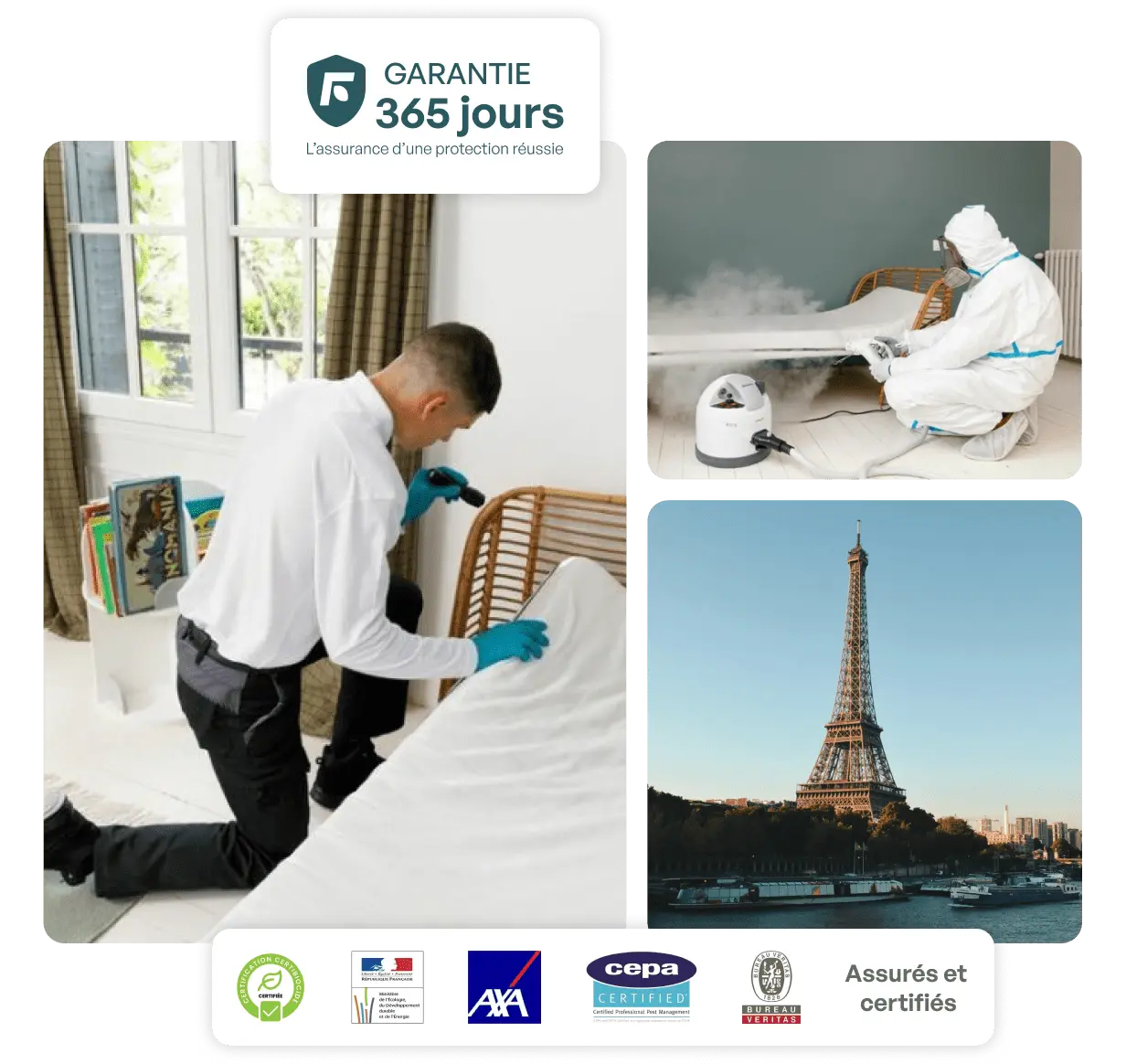 entreprise punaise de lit