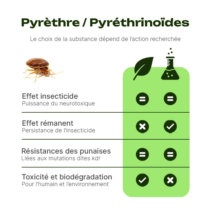 fumigène punaise de lit efficace