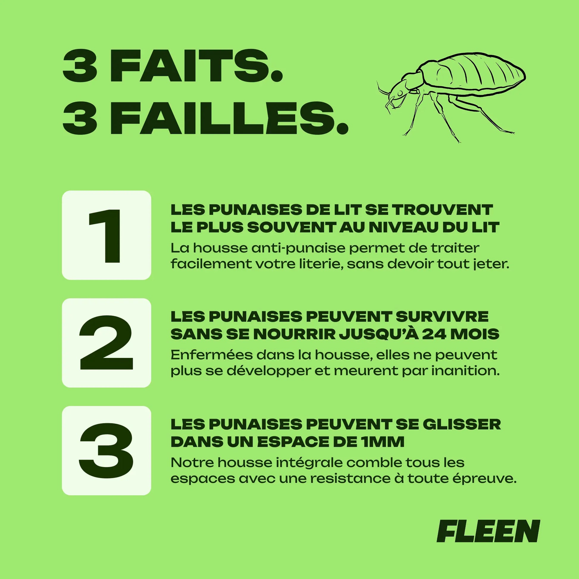 housse d'oreiller anti-punaise de lit guide
