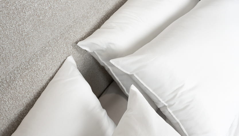 housse pour punaise de lit