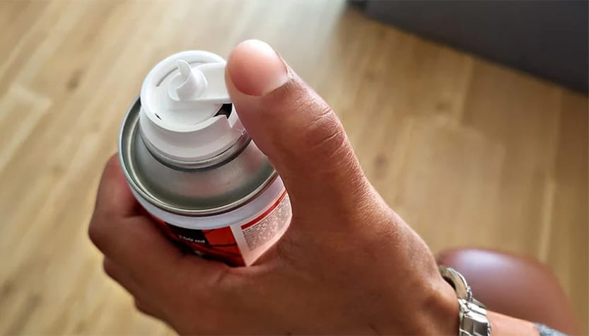 insecticide puissant punaises de lit