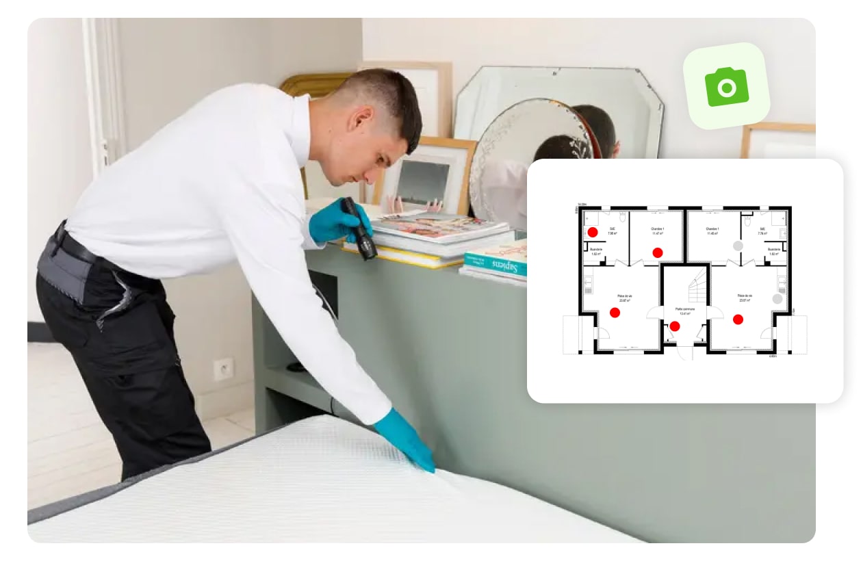 intervention punaise de lit villeurbanne