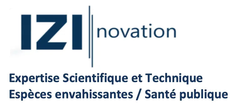 logo izinovation