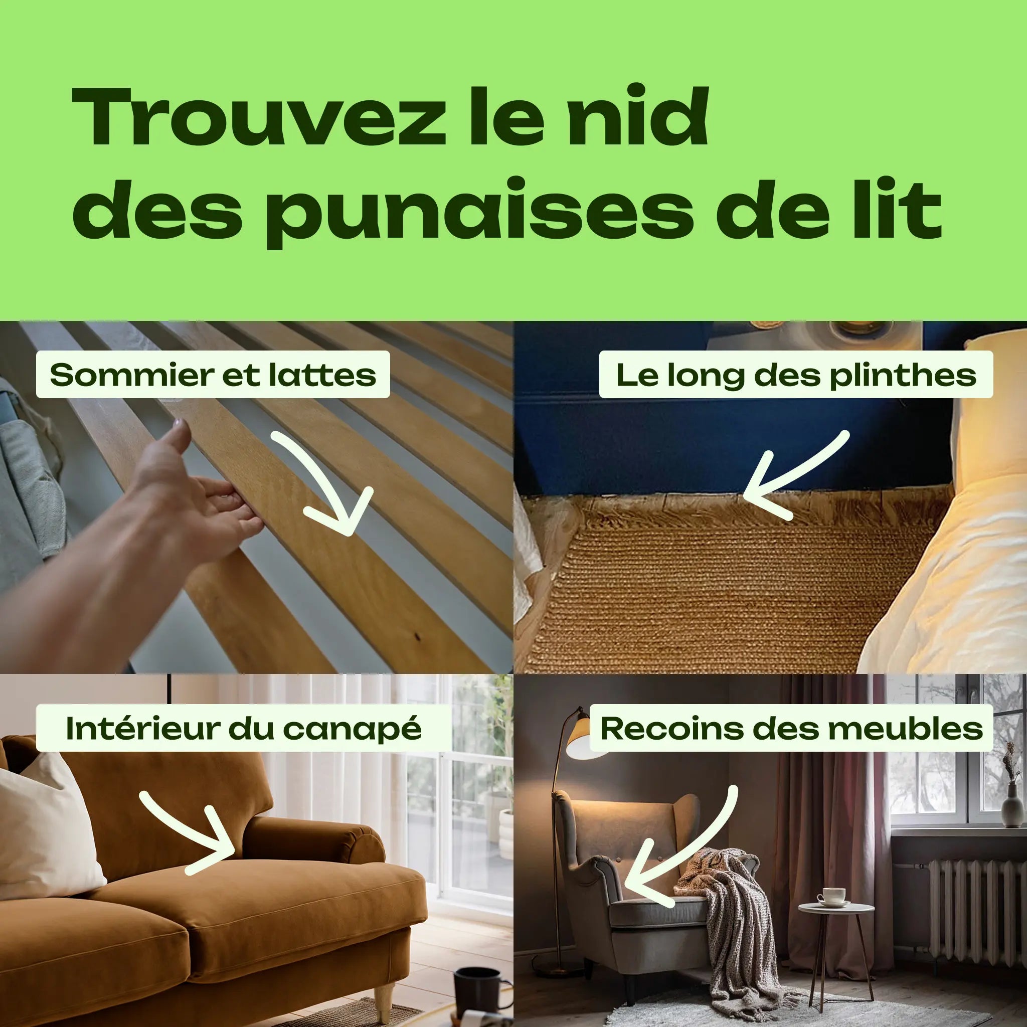 lampe uv punaise de lit utilisation